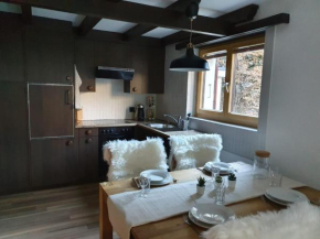 Bright renovated studio - 1 min from the slopes! Saas-Fee